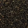 black_pepper_500_faq-edited